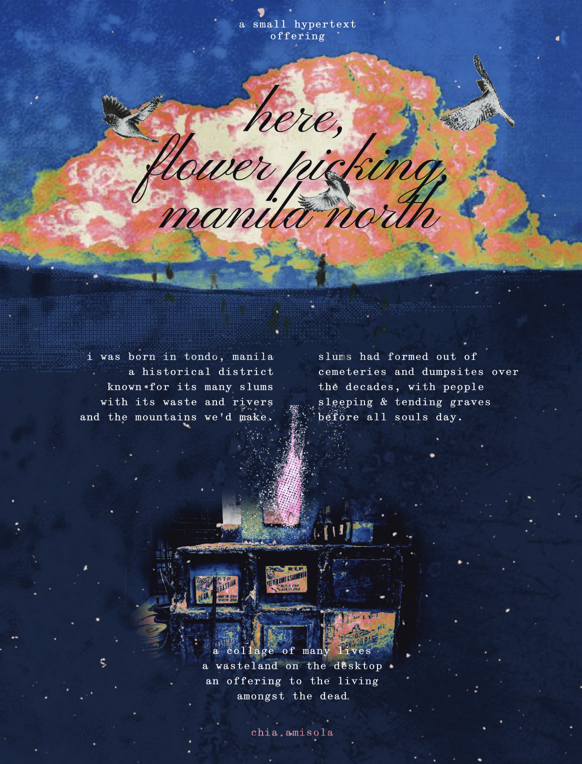 here, flower picking, manila north