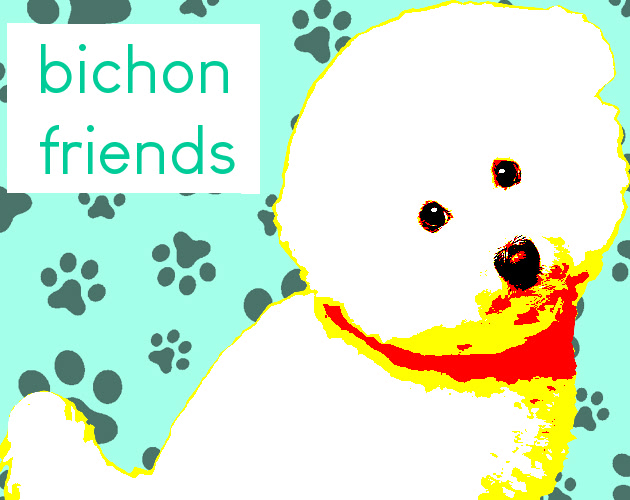 bichon friends