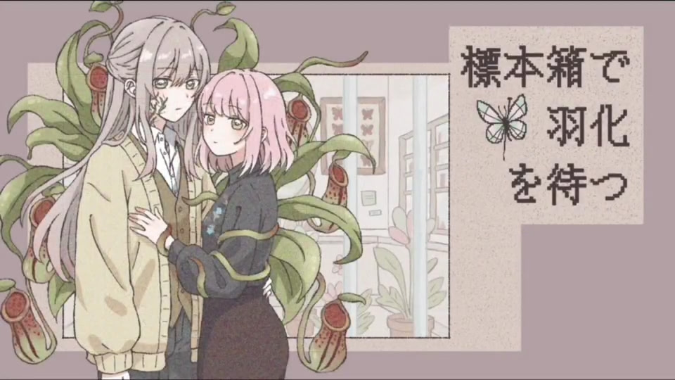 標本箱で羽化を待つ